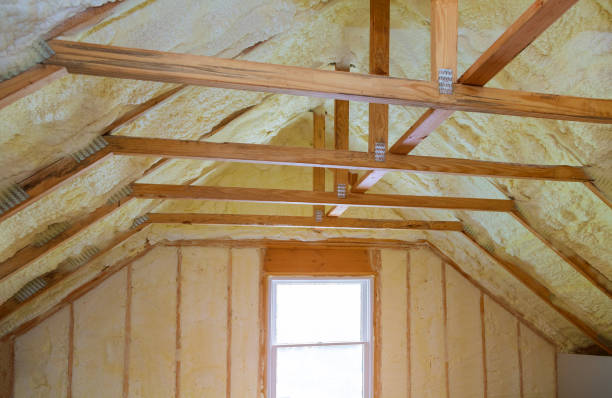 Best Insulation for New Construction  in USA